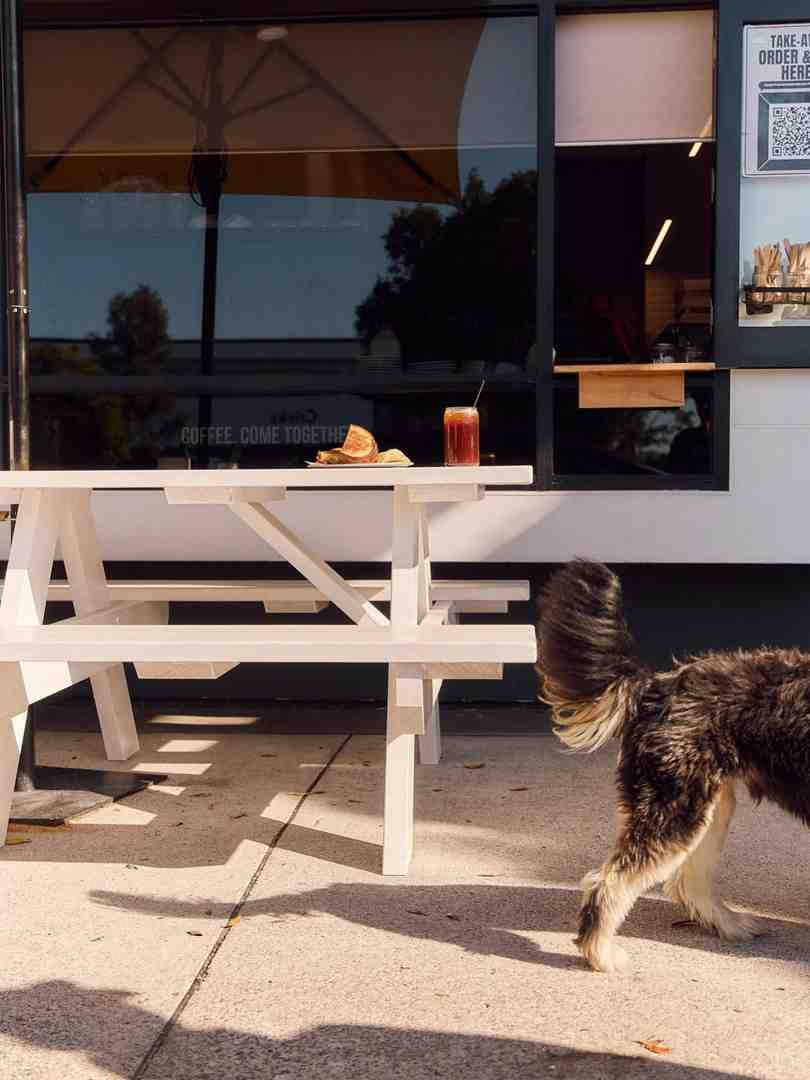 Dog-Friendly Cafes in Maroochydore: Why Flinders Lane Tops the List