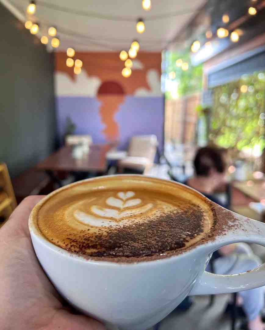 Cappuccino 101: Learn Basics with 5 Easy Steps